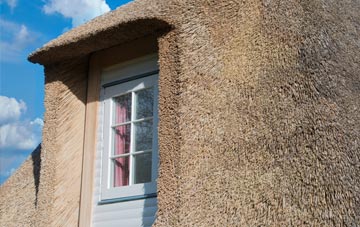 Chycoose thatch roof disadvantages